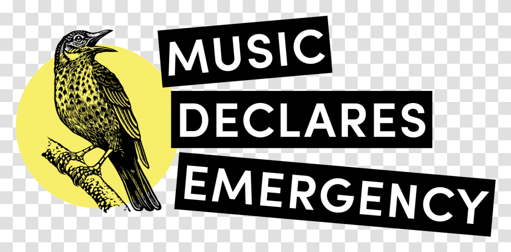 Music Declares Emergency Wins Impala Outstanding Music Declares Emergency, Bird, Text, Clothing, Alphabet Transparent Png