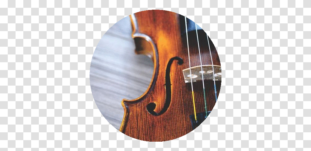 Music Lessons - Musicology Violin, Musical Instrument, Cello, Leisure Activities, Guitar Transparent Png