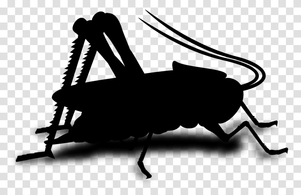 Musical Composition Song Arrangement Image Gif Insect Cricket Clipart, Gray, World Of Warcraft Transparent Png
