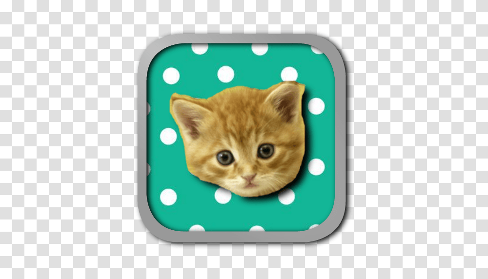 Musical Kittens Appstore For Android, Cat, Pet, Mammal, Animal Transparent Png