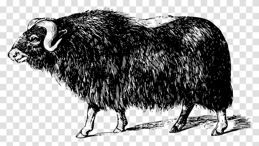 Muskox, Gray, World Of Warcraft Transparent Png