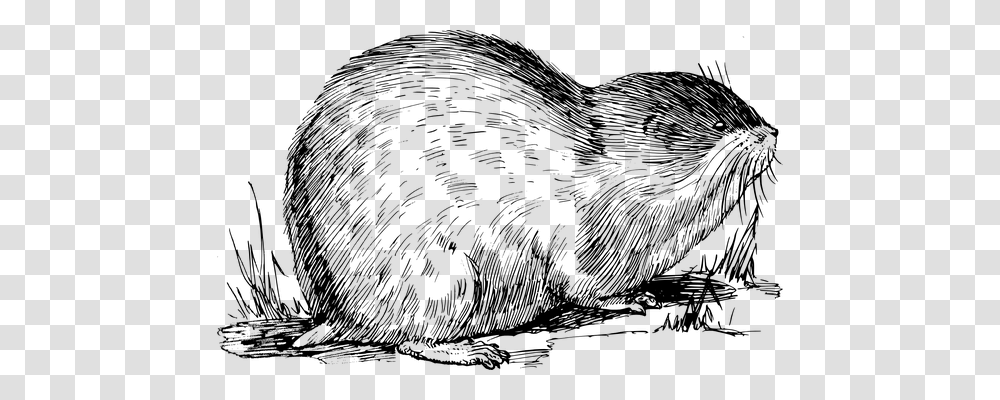 Muskrat Technology, Gray, World Of Warcraft Transparent Png