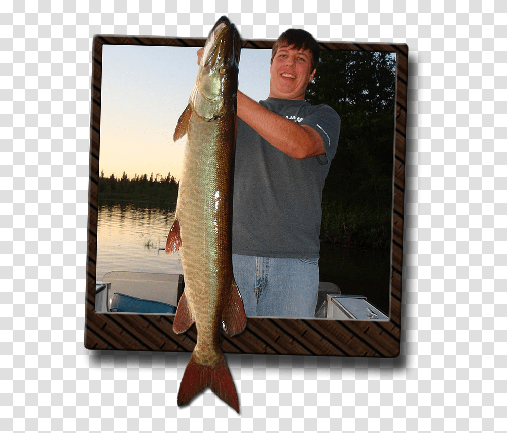 Musky Lunge, Person, Human, Fish, Animal Transparent Png
