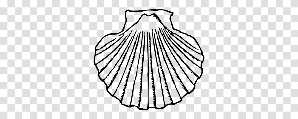 Mussel Holiday, Gray, World Of Warcraft Transparent Png