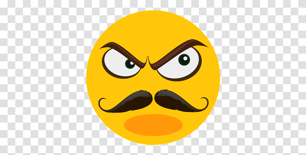 Mustache Angry Suspect Angry Face With Mustache, Angry Birds, Sunglasses, Accessories, Accessory Transparent Png