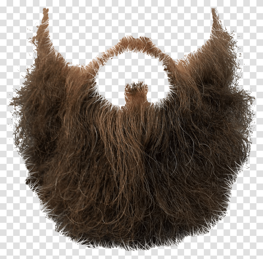 Mustache Brown Beard Beard, Animal, Bird, Mammal, Ostrich Transparent Png