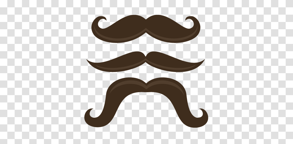 Mustache Cliparts Transparent Png