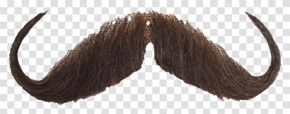 Mustache Horn, Mineral, Wood, Accessories, Tick Transparent Png
