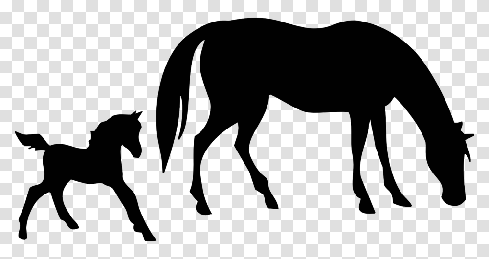 Mustang Clipart Colt Horse Mustang Colt Horse Free, Face, Gray, World Of Warcraft Transparent Png