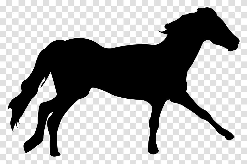 Mustang Clydesdale Horse Arabian Horse Dartmoor Pony Clydesdale, Logo, Trademark, Word Transparent Png