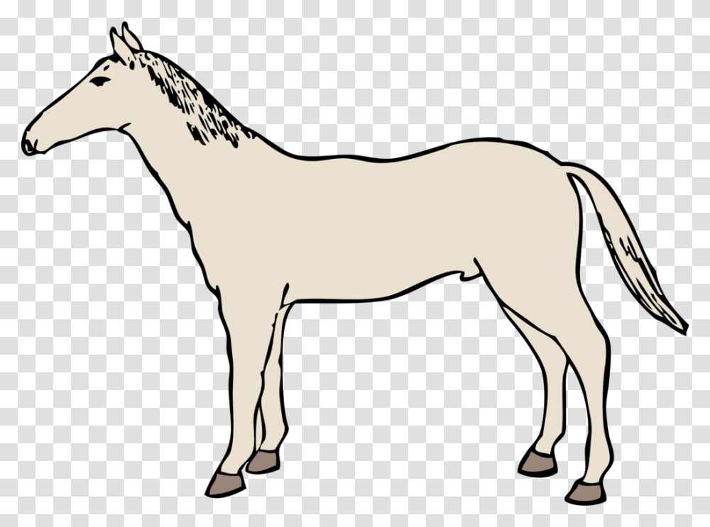 Mustang Collection Computer Icons Rearing Jumping, Horse, Mammal, Animal, Colt Horse Transparent Png