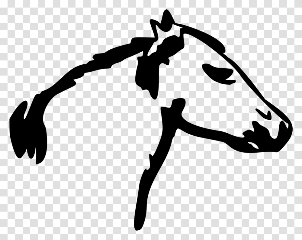 Mustang Equestrian Horse Head Mask Jumping Download Free, Gray, World Of Warcraft Transparent Png