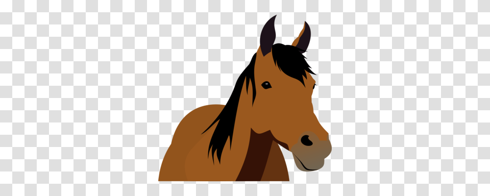 Mustang Friesian Horse Stallion Wild Horse Equestrian Free, Mammal, Animal, Outdoors, Nature Transparent Png