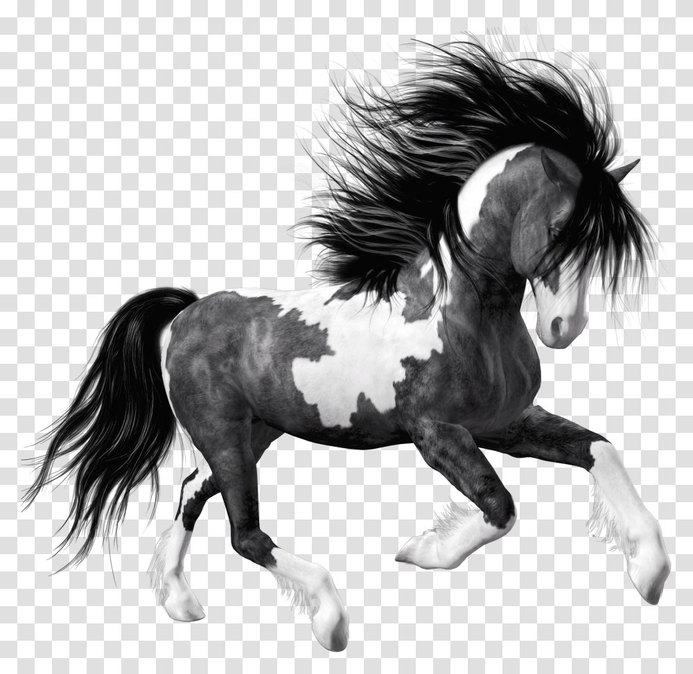 Mustang Horse Clipart Black And White Horse, Mammal, Animal, Stallion, Andalusian Horse Transparent Png