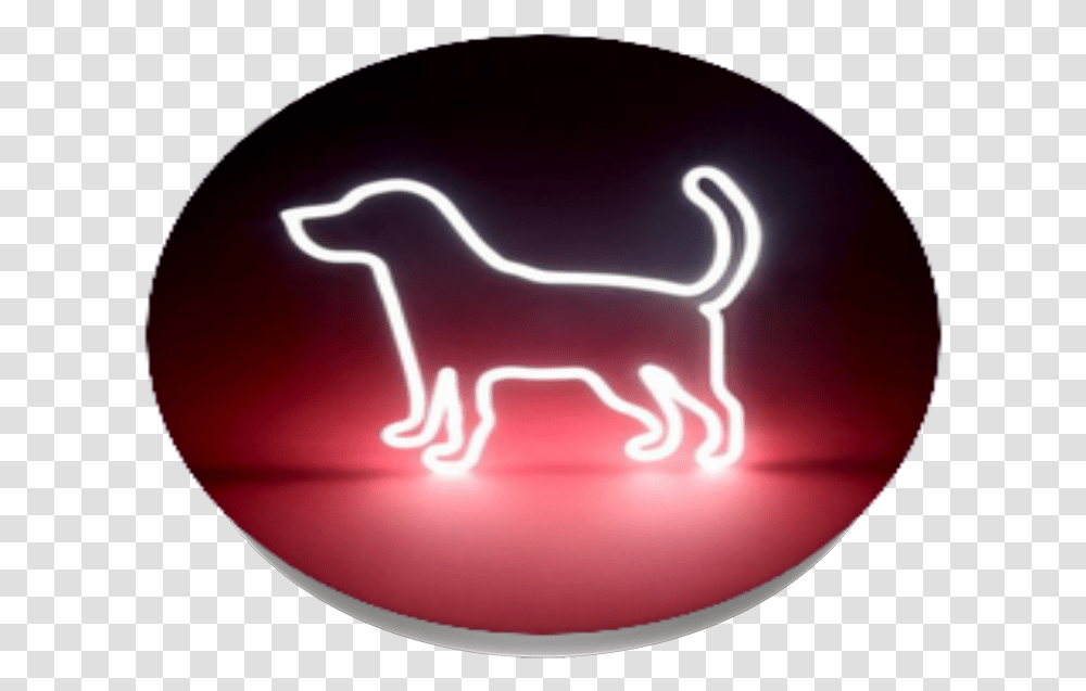 Mustang Horse Clipart Companion Dog, Light, Neon, Ketchup, Food Transparent Png
