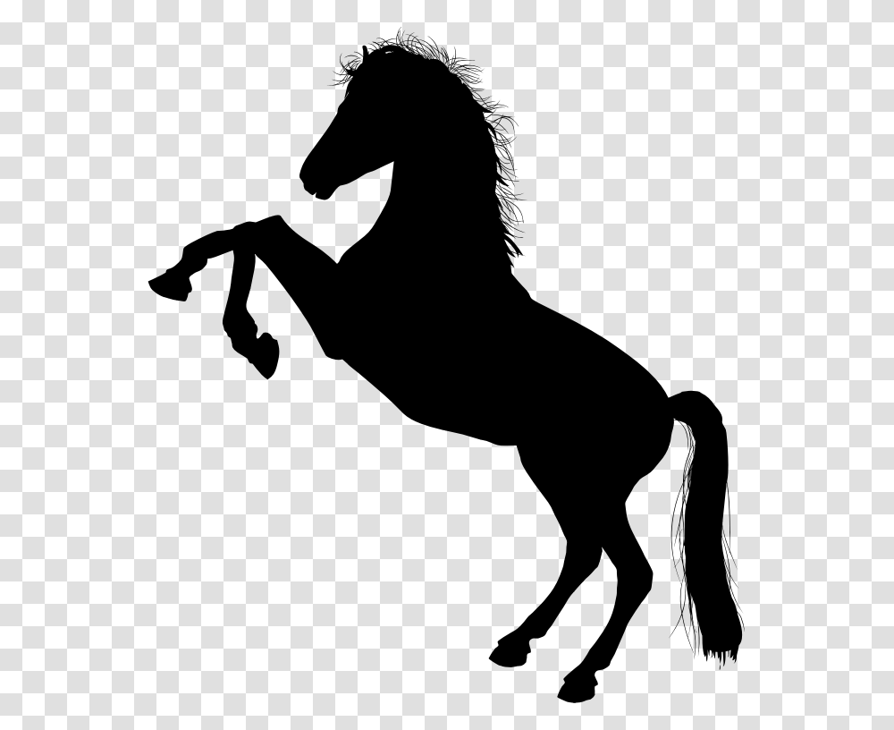 Mustang Horse, Gray, World Of Warcraft Transparent Png
