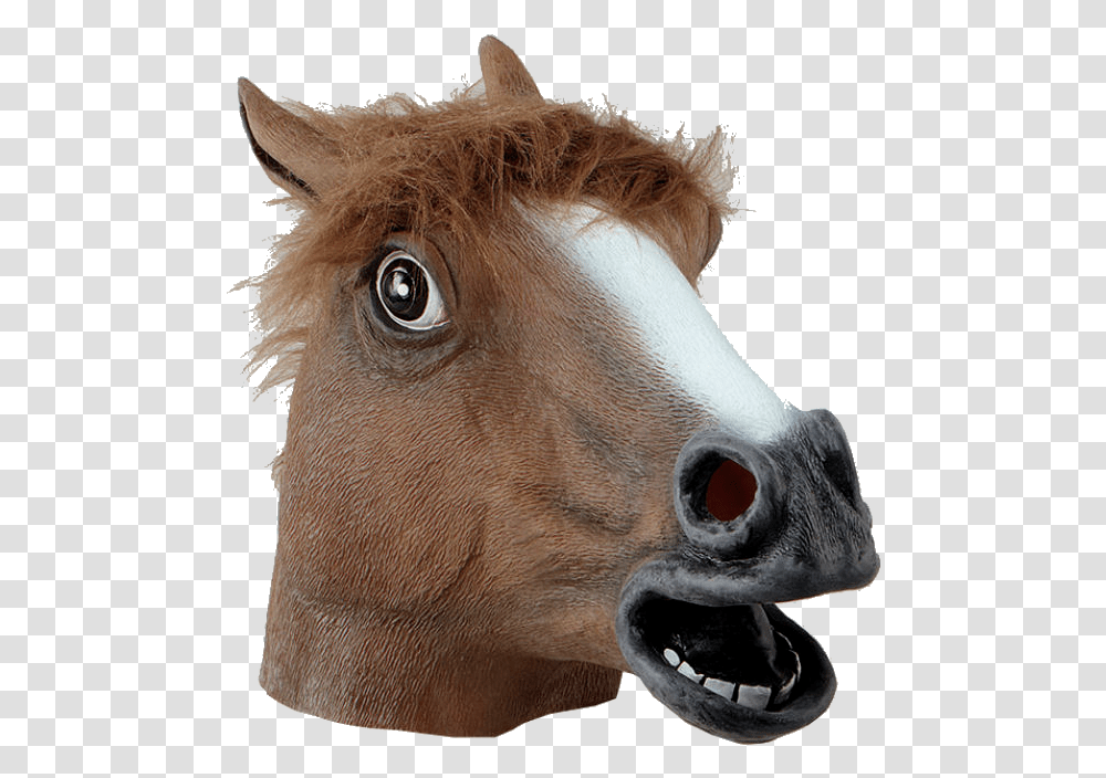 Mustang Horse Horse Head Mask, Mammal, Animal, Teeth, Mouth Transparent Png