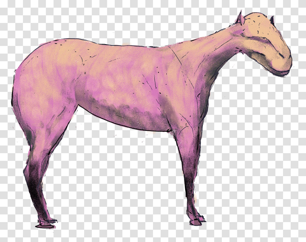 Mustang Horse Image Mare, Mammal, Animal, Colt Horse, Purple Transparent Png