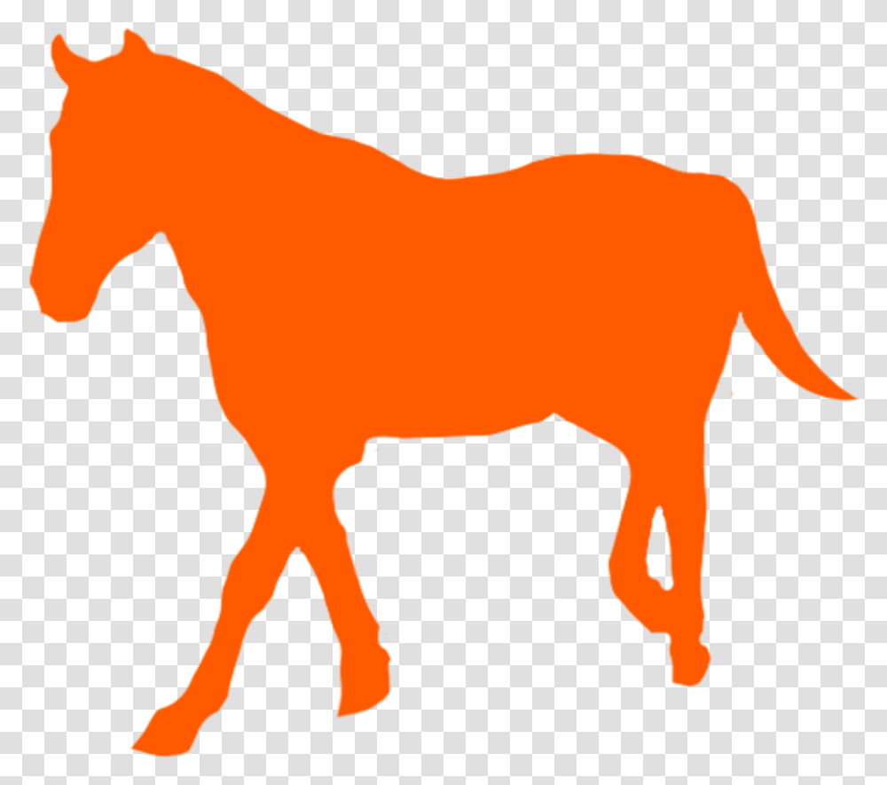 Mustang Horse Mustang Horse, Mammal, Animal, Deer, Wildlife Transparent Png