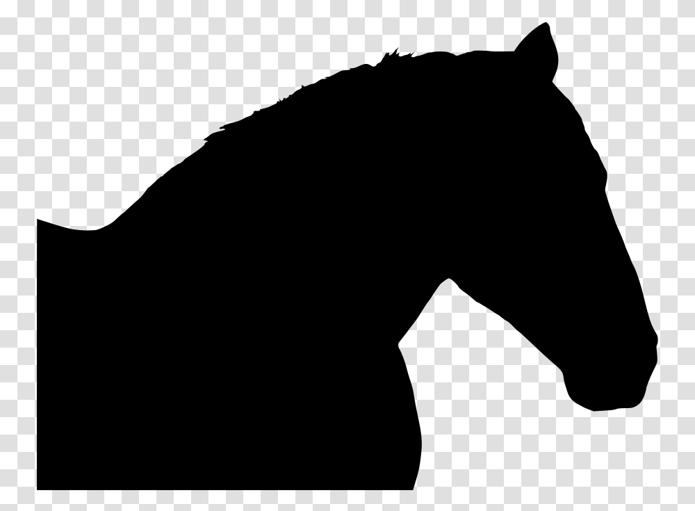 Mustang Horse Stallion, Gray, World Of Warcraft Transparent Png