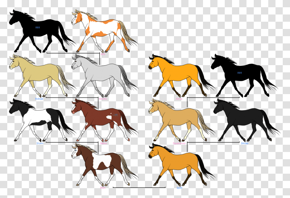 Mustang Horses Family Tree Spirit Horse Download Spirit Horse Drawing, Mammal, Animal, Wildlife, Goat Transparent Png
