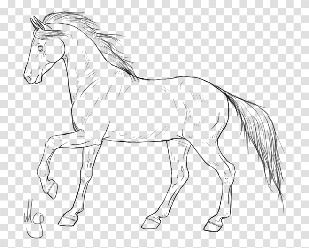 Mustang Horses Pony Line Art American Quarter Horse Horse Line Art, Gray Transparent Png