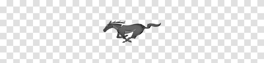Mustang Logo Meaning Information, Mammal, Animal, Horse Transparent Png