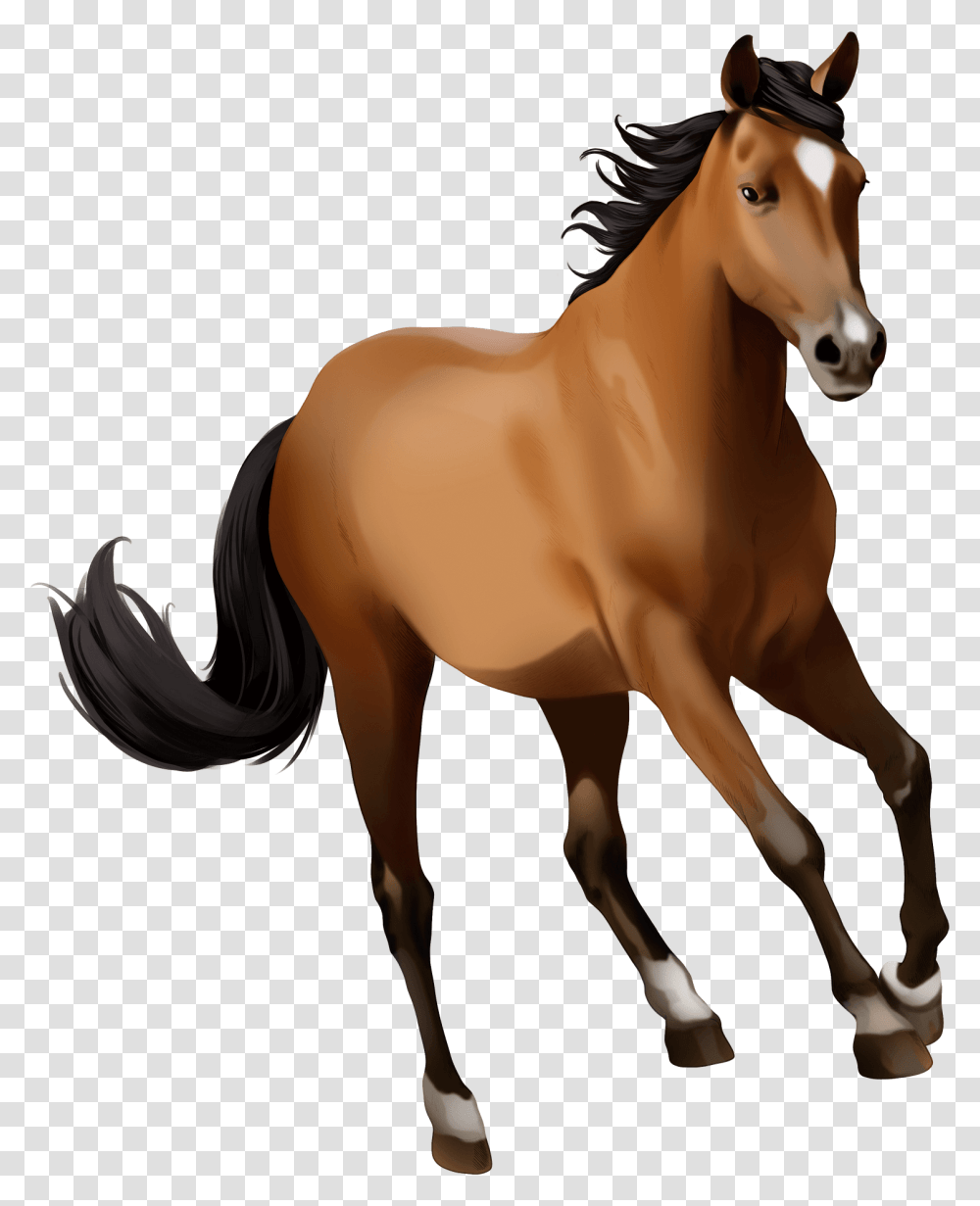 Mustang Mare Clipart Stallion, Horse, Mammal, Animal, Colt Horse Transparent Png
