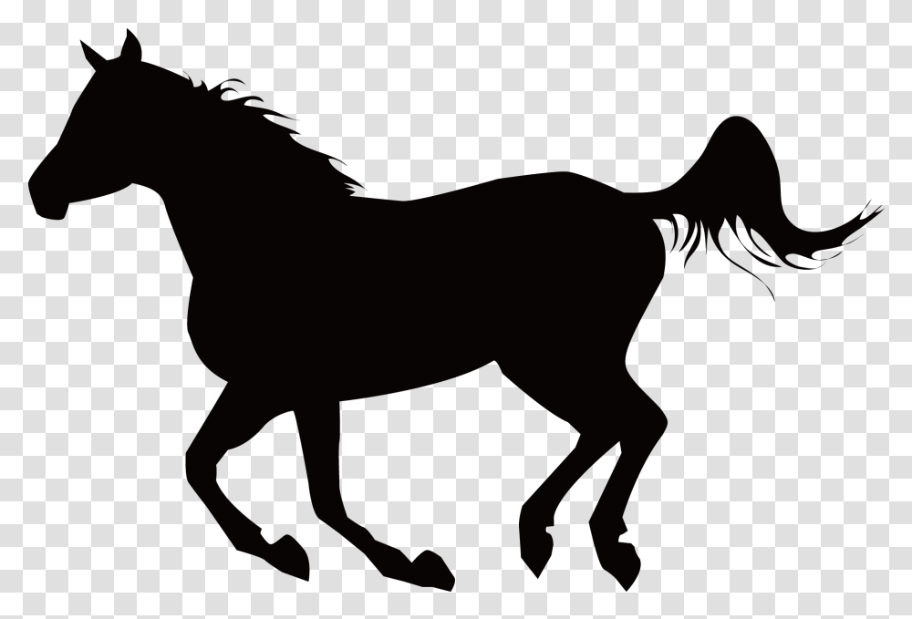 Mustang Stallion Equestrianism Clip Art Horse, Mammal, Animal, Foal, Colt Horse Transparent Png