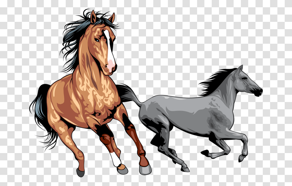 Mustang Wild Horse Clip Art Running Horse, Mammal, Animal, Stallion, Colt Horse Transparent Png