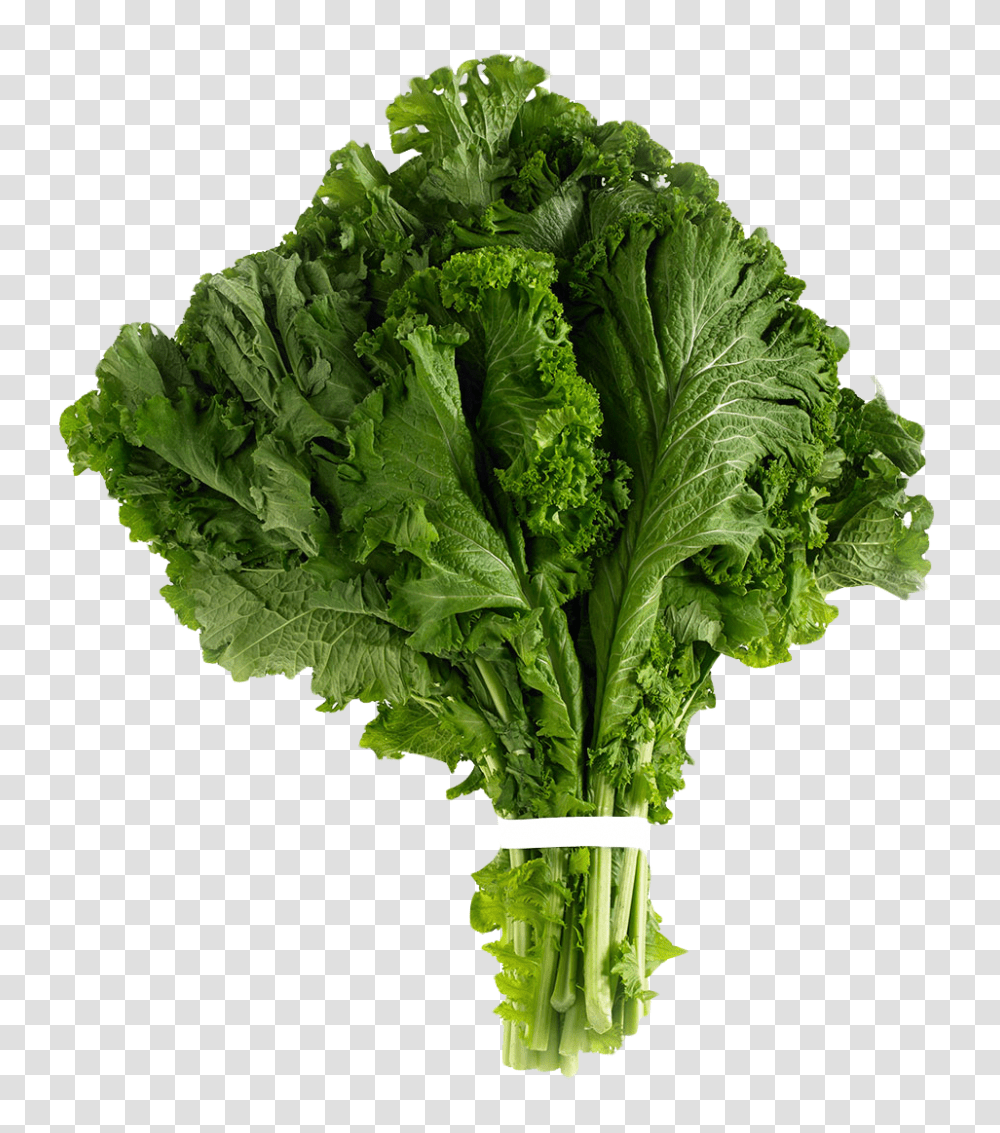 Mustard Greens, Vegetable, Plant, Kale, Cabbage Transparent Png