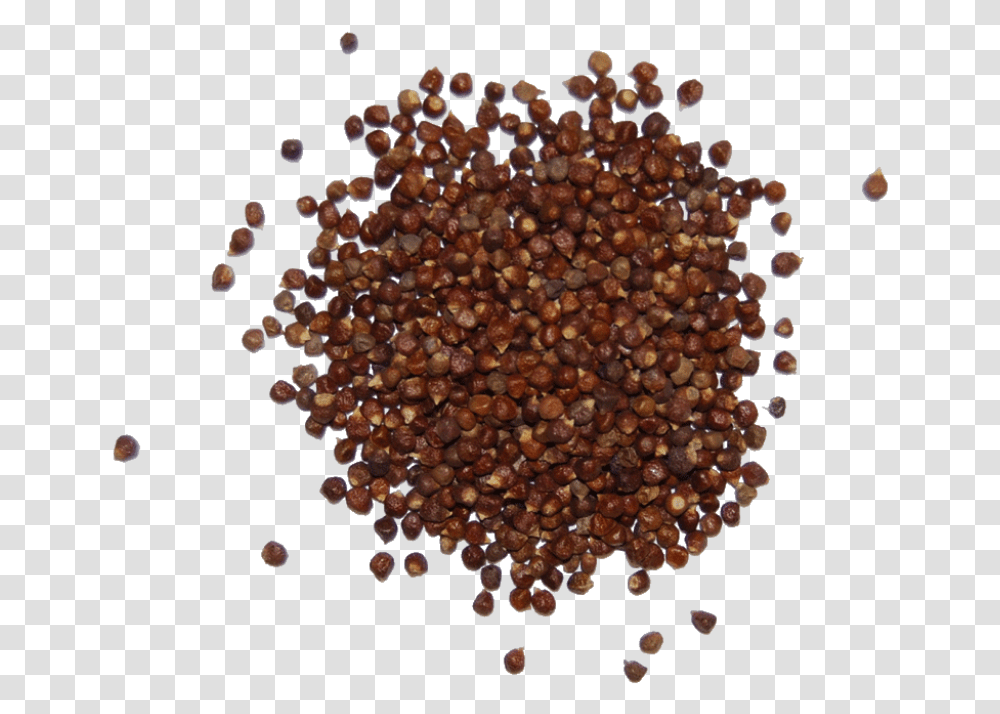 Mustard Seed, Plant, Chandelier, Lamp, Food Transparent Png