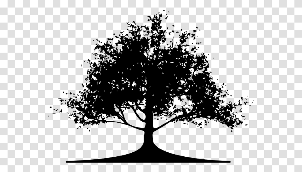 Mustard Tree, Gray, World Of Warcraft Transparent Png