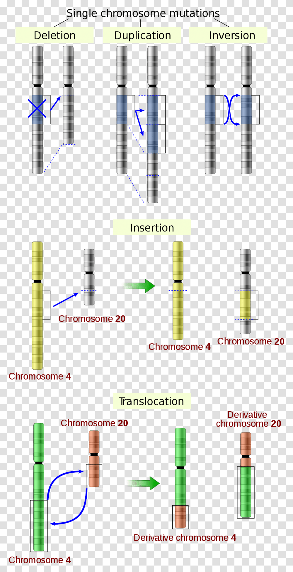 Mutation Structure, Plot, Diagram, Machine Transparent Png