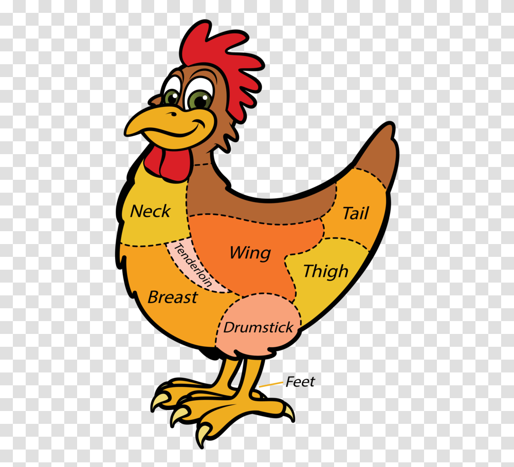 Mutton Clipart Chicken Wing, Bird, Animal, Poultry, Fowl Transparent Png
