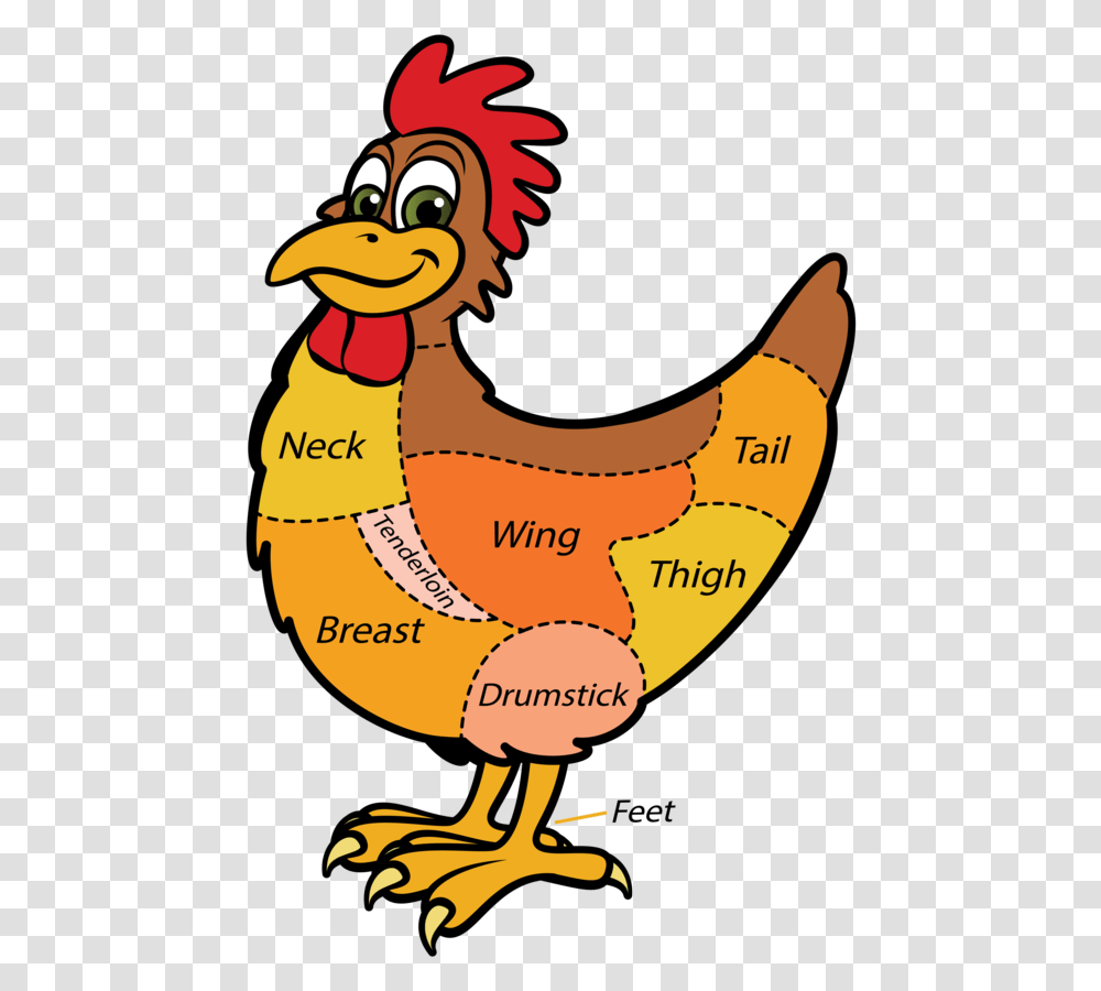 Mutton Clipart Chicken Wing Different Kind Clipart, Fowl, Bird, Animal, Poultry Transparent Png