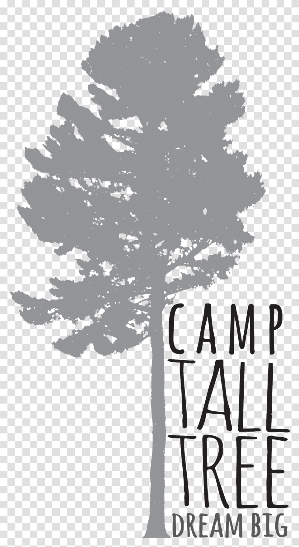 My Camps - Scott Arizala Red Pine, Plant, Tree, Graphics, Art Transparent Png