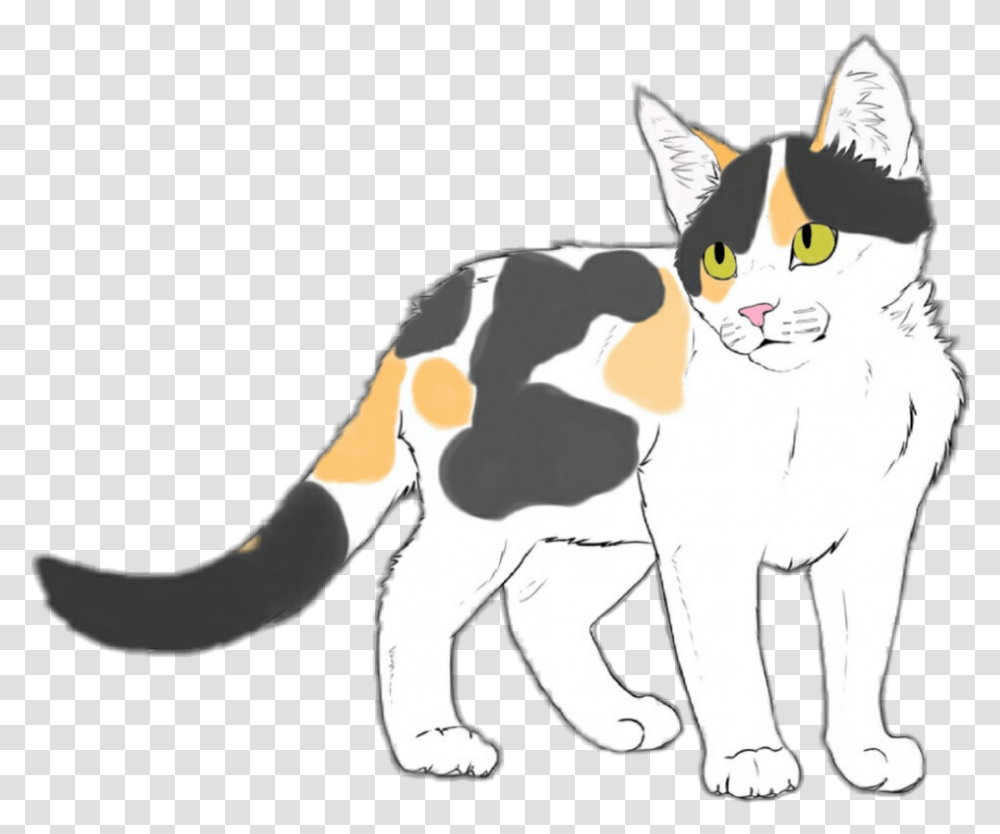 My Cat Drawing Domestic Short Haired Cat, Pet, Mammal, Animal, Manx Transparent Png