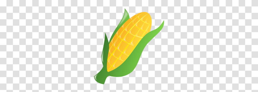 My Corn Clip Art, Plant, Tennis Ball, Sport, Sports Transparent Png