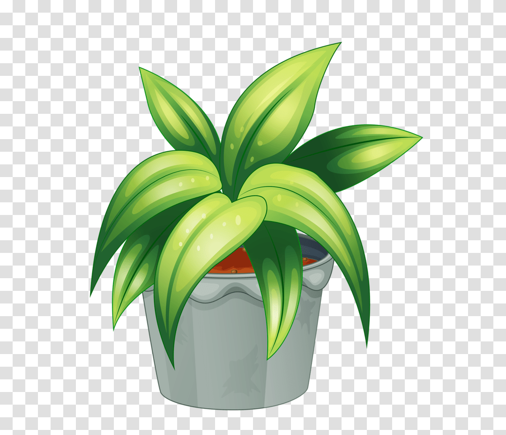 My Cute Garden Flowers, Plant, Aloe Transparent Png