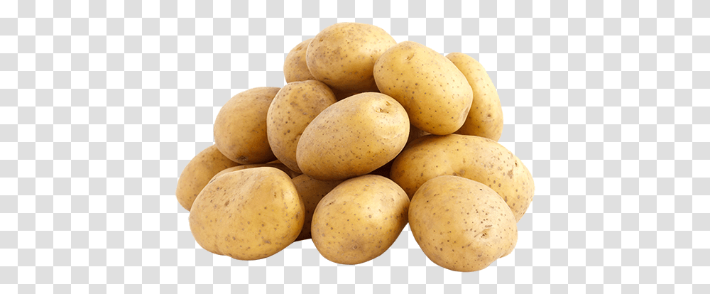 My Favorite Vegetable Is Potato, Plant, Food Transparent Png