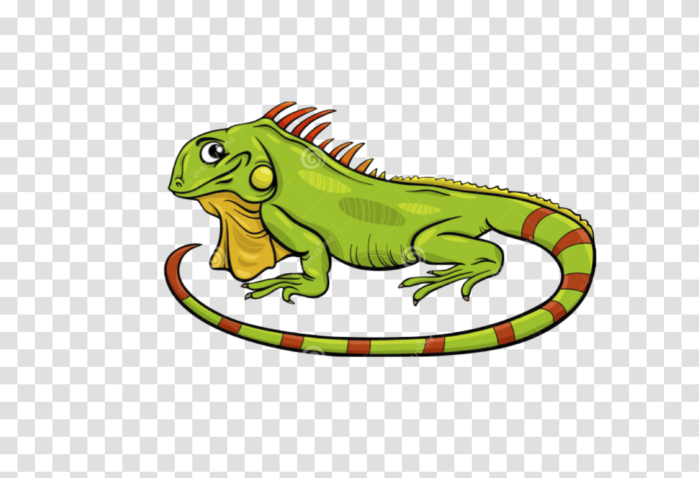 My First Storybook My Storybook, Iguana, Lizard, Reptile, Animal Transparent Png