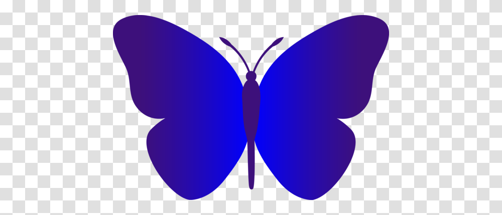 My Free Clip Art Of A Pretty Blue Morpho Butterfly Clip Art, Pattern, Ornament, Balloon, Animal Transparent Png
