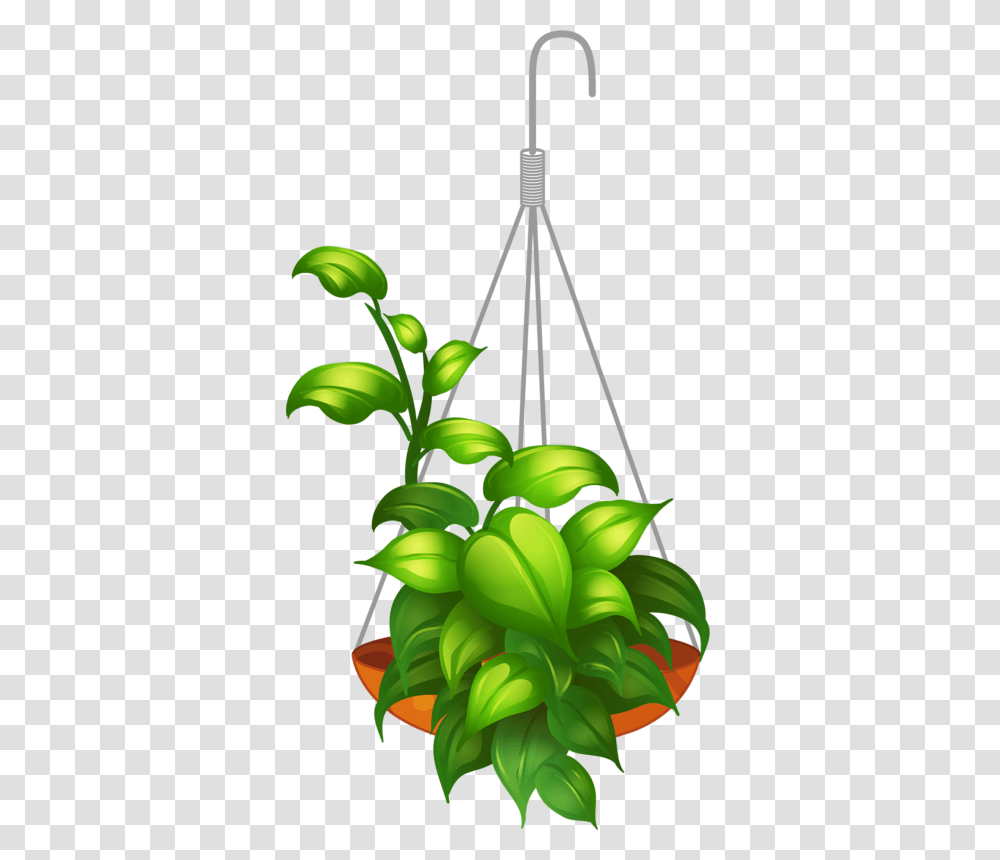 My Garden Valley, Green, Plant, Leaf, Tree Transparent Png