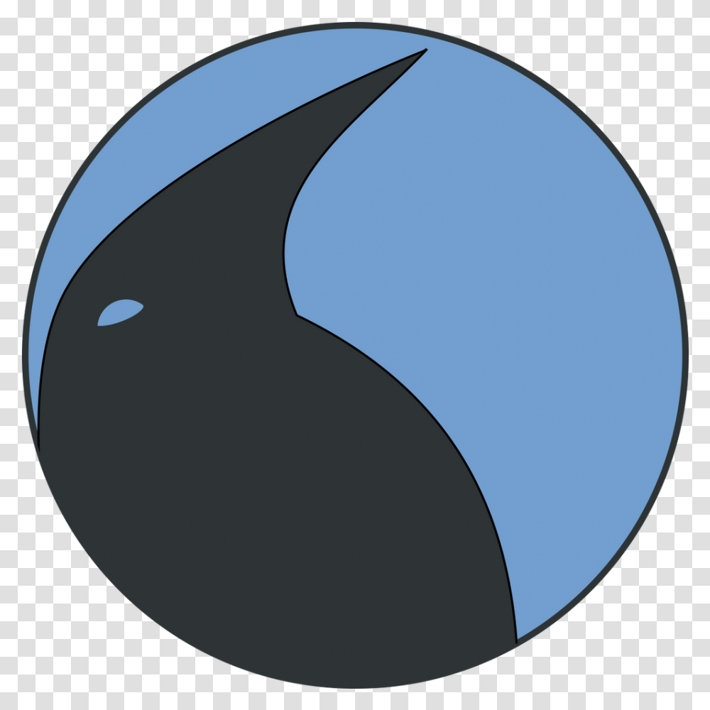 My Images For Klaatu Penguin Profile Picture Circle, Moon, Outer Space, Astronomy, Outdoors Transparent Png
