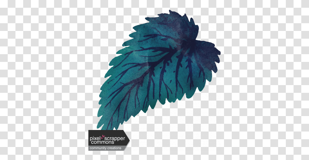 My Life Palette Watercolor Leaf Teal And Navy Graphic By Art, Plant, Sea Life, Animal, Invertebrate Transparent Png