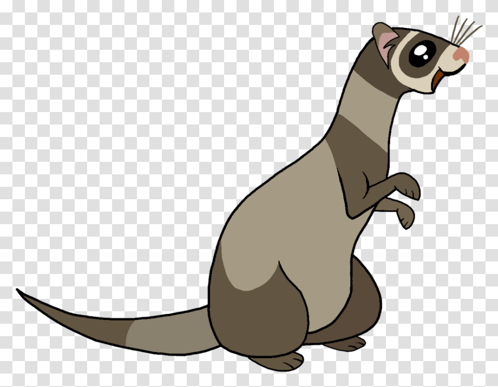 My Little Pony Ferret, Animal, Mammal, Kangaroo, Wallaby Transparent Png