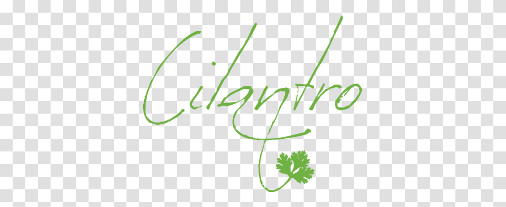 My Love Affair With Cilantro Laura Bruno Lilly, Handwriting, Plant, Signature Transparent Png