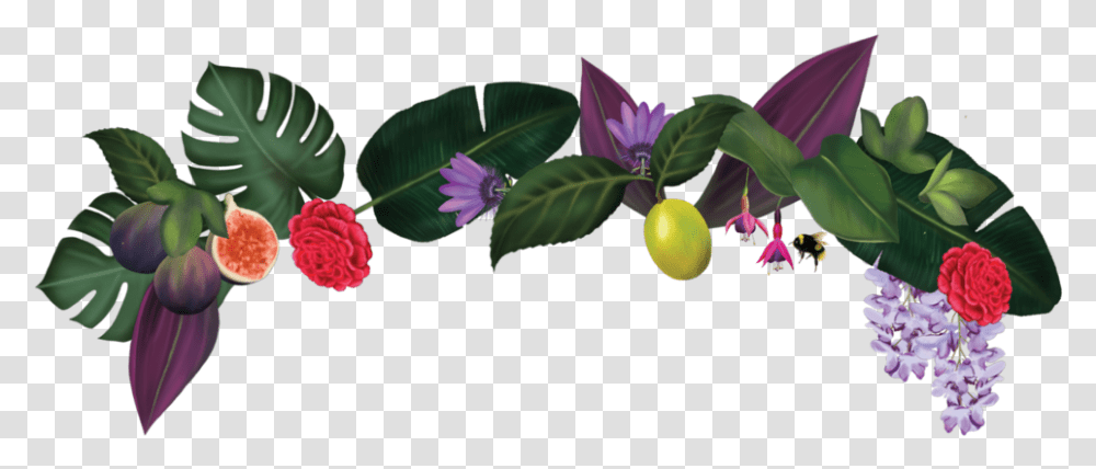 My Newtown Kitchen, Plant, Flower, Blossom, Acanthaceae Transparent Png