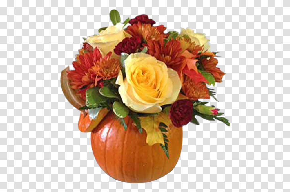 My Pretty Pumpkin Garden Roses, Plant, Flower Bouquet, Flower Arrangement, Blossom Transparent Png